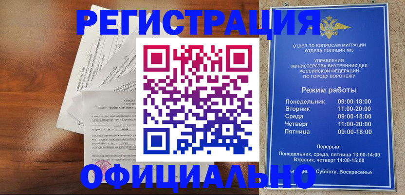 прописка поиск в Нелидово